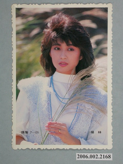 楊林明星照片 (共1張)