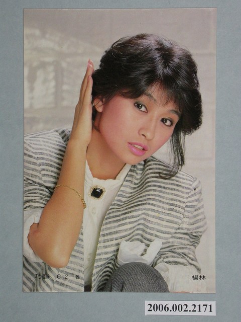 楊林明星照片 (共1張)