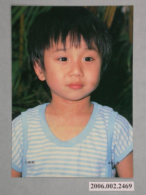 小彬彬明星照片小卡 (共1張)