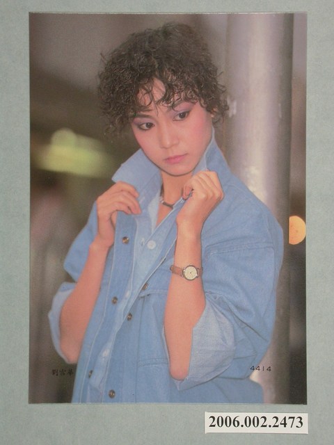 劉雪華明星照片小卡 (共1張)