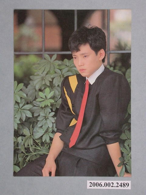 楊帆明星照片小卡 (共1張)