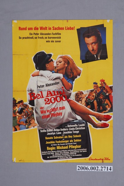 《如何引誘花花公子》電影海報 (共1張)