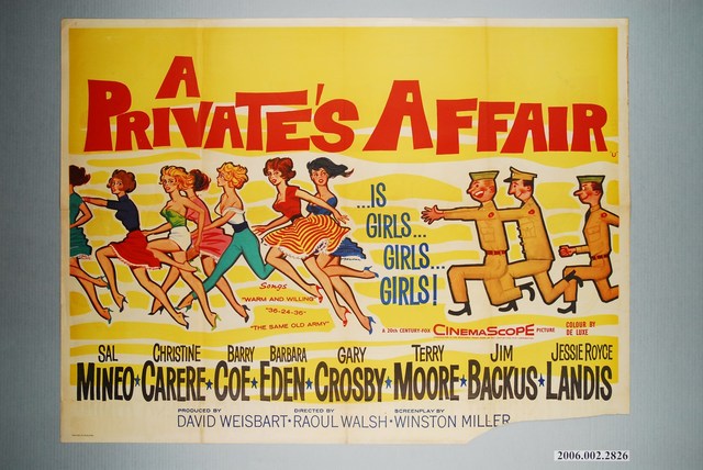 《私人事務》電影海報 (共1張)