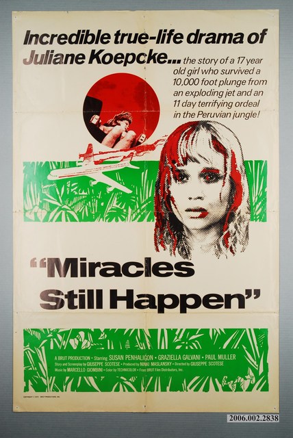 《奇蹟生還》電影海報 (共1張)