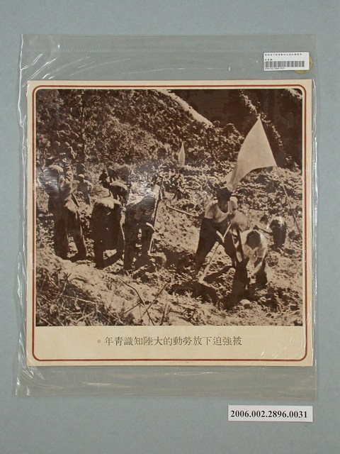 中國大陸災胞救濟總會印行《中國大陸共匪暴行》〈被強迫下放勞動的大陸知識青年〉文宣 (共1張)