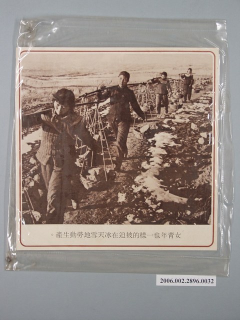 中國大陸災胞救濟總會印行《中國大陸共匪暴行》〈女青年也一樣的被迫在冰天雪地勞動生產〉文宣 (共1張)