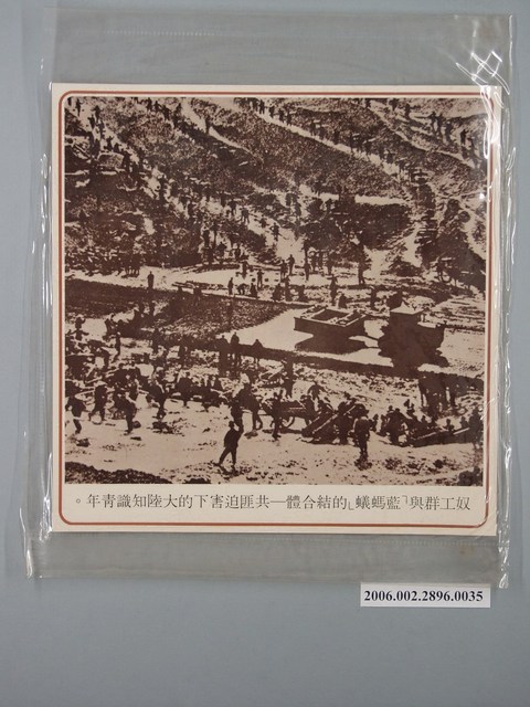 中國大陸災胞救濟總會印行《中國大陸共匪暴行》〈共匪迫害下的大陸知識青年〉文宣 (共1張)