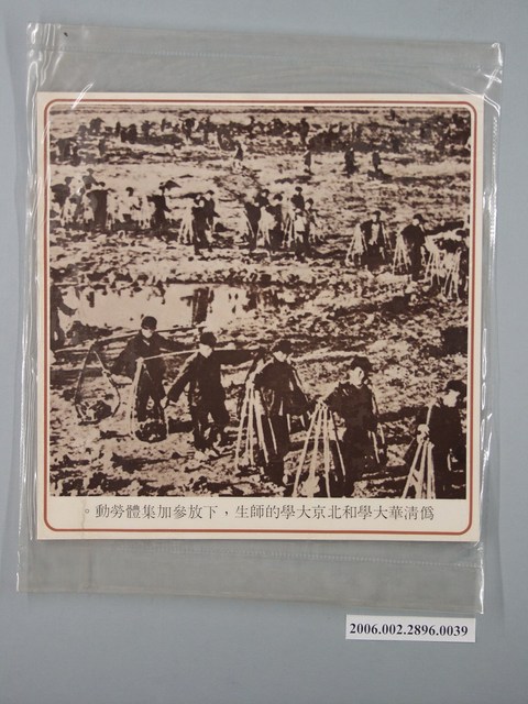 中國大陸災胞救濟總會印行《中國大陸共匪暴行》〈偽清華大學和北京大學的師生，下放參加集體勞動〉文宣 (共1張)