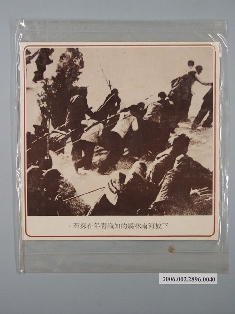 中國大陸災胞救濟總會印行《中國大陸共匪暴行》〈知識青年在採石〉文宣 (共1張)