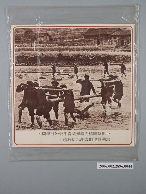中國大陸災胞救濟總會印行《中國大陸共匪暴行》〈動員知識青年去涉水抬石頭〉文宣 (共1張)