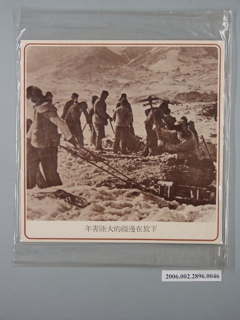 中國大陸災胞救濟總會印行《中國大陸共匪暴行》〈下放在邊疆的大陸青年〉文宣 (共1張)