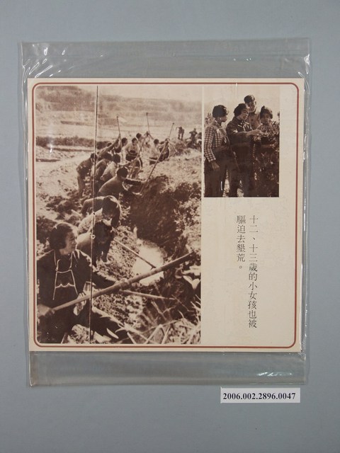 中國大陸災胞救濟總會印行《中國大陸共匪暴行》〈十二、十三歲的小女孩也被驅迫去墾荒〉文宣 (共1張)