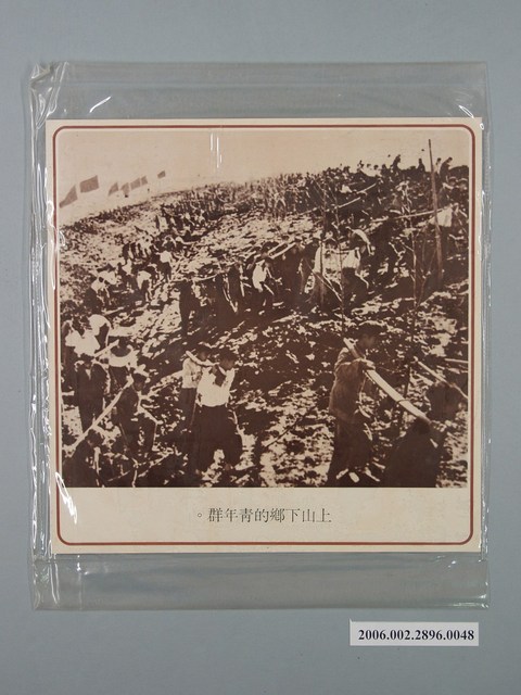 中國大陸災胞救濟總會印行《中國大陸共匪暴行》〈上山下鄉的青年群〉文宣 (共1張)