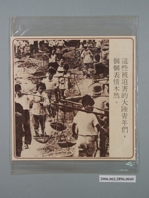 中國大陸災胞救濟總會印行《中國大陸共匪暴行》〈被迫害的大陸青年們〉文宣 (共1張)