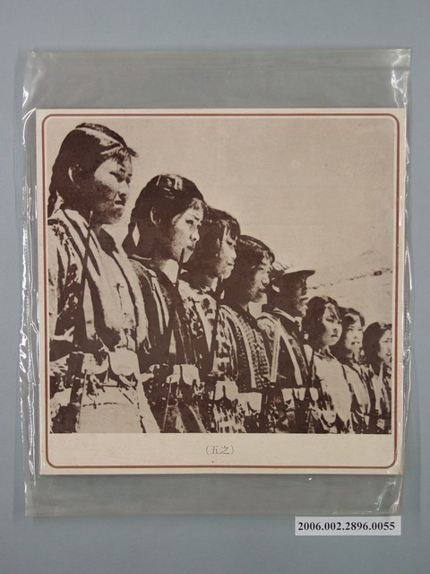 中國大陸災胞救濟總會印行《中國大陸共匪暴行》〈摧殘民族幼苗(之五)〉文宣 (共1張)