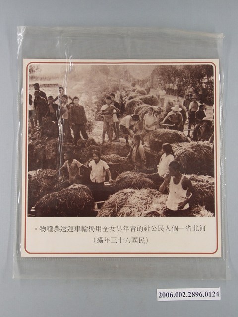 中國大陸災胞救濟總會印行《中國大陸共匪暴行》〈河北省人民公社運送農穫物〉文宣 (共1張)