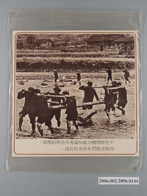 中國大陸災胞救濟總會印行《中國大陸共匪暴行》〈動員知識青年去涉水抬石頭〉文宣 (共1張)