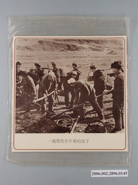 中國大陸災胞救濟總會印行《中國大陸共匪暴行》〈下放的青年在挖荒地〉文宣 (共1張)
