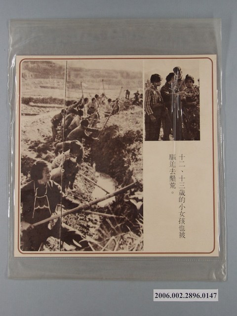 中國大陸災胞救濟總會印行《中國大陸共匪暴行》〈十二、十三歲的小女孩也被驅迫去墾荒〉文宣 (共1張)