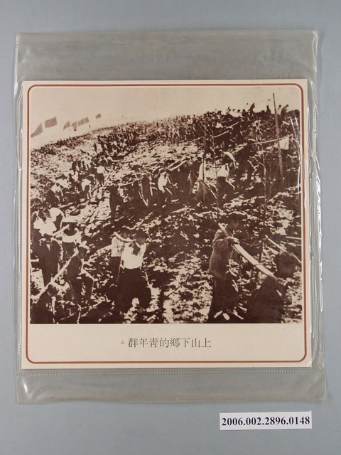 中國大陸災胞救濟總會印行《中國大陸共匪暴行》〈上山下鄉的青年群〉文宣 (共1張)