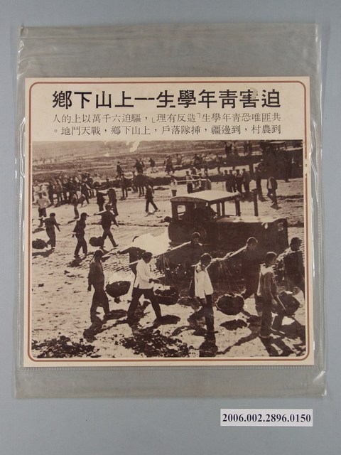 中國大陸災胞救濟總會印行《中國大陸共匪暴行》〈迫害青年學生上山下鄉〉文宣 (共1張)