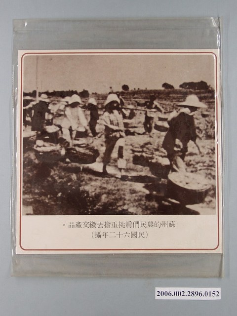 中國大陸災胞救濟總會印行《中國大陸共匪暴行》〈蘇州的農民繳交產品〉文宣 (共1張)