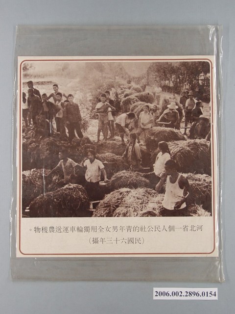 中國大陸災胞救濟總會印行《中國大陸共匪暴行》〈河北省人民公社運送農穫物〉文宣 (共1張)
