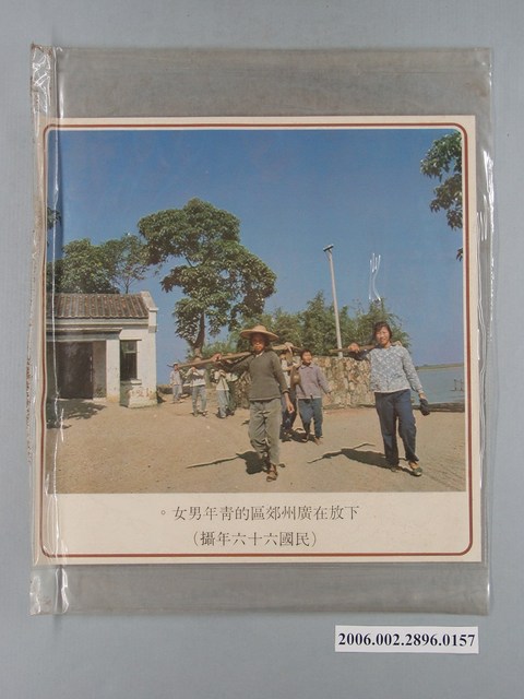 中國大陸災胞救濟總會印行《中國大陸共匪暴行》〈下放在廣州郊區的青年男女〉文宣 (共1張)