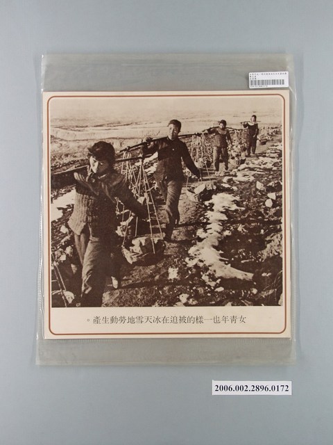中國大陸災胞救濟總會印行《中國大陸共匪暴行》〈女青年也一樣的被迫在冰天雪地勞動生產〉文宣 (共1張)