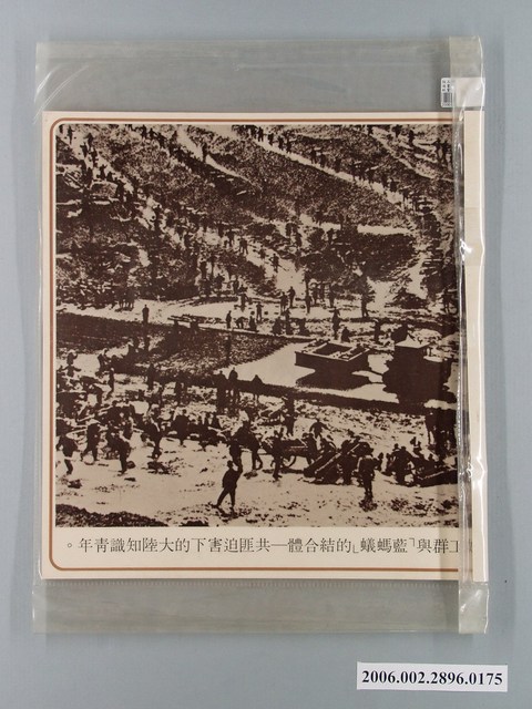 中國大陸災胞救濟總會印行《中國大陸共匪暴行》〈共匪迫害下的大陸知識青年〉文宣 (共2張)