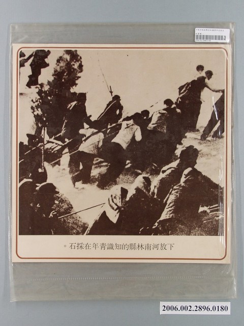 中國大陸災胞救濟總會印行《中國大陸共匪暴行》〈偽清華大學和北京大學的師生，下放參加集體勞動〉文宣 (共1張)