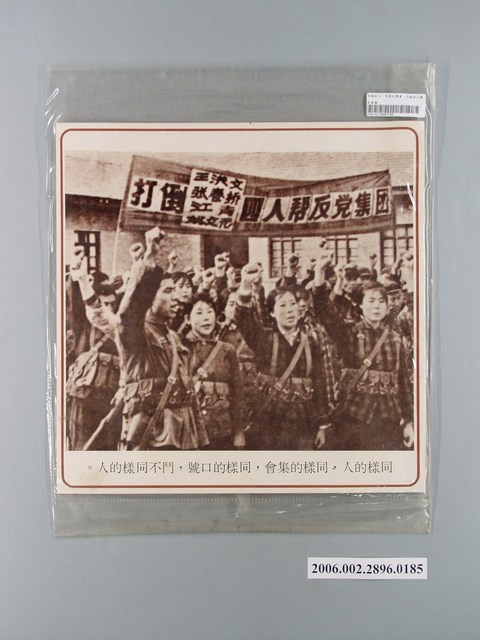 中國大陸災胞救濟總會印行《中國大陸共匪暴行》〈四人幫批鬥狀況〉文宣 (共1張)