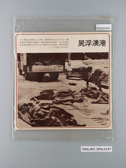 中國大陸災胞救濟總會印行《中國大陸共匪暴行》〈文革港澳浮屍（之一）〉文宣 (共1張)