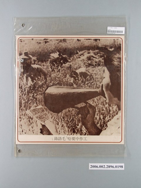 中國大陸災胞救濟總會印行《中國大陸共匪暴行》〈工作中要唸「毛語錄」〉文宣 (共1張)