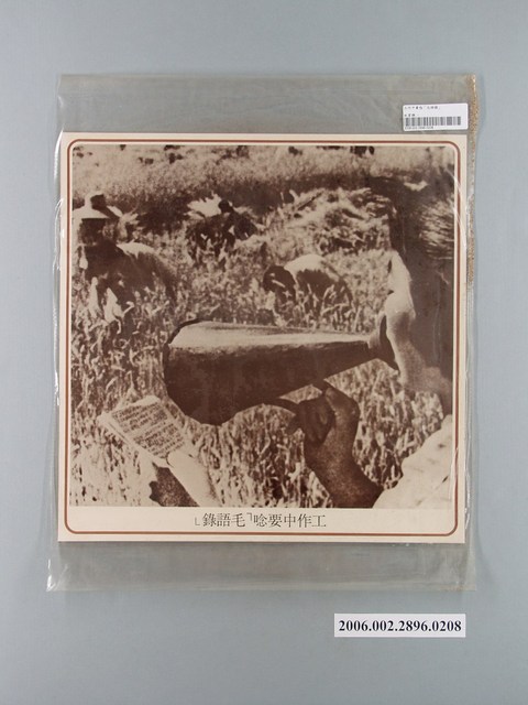 中國大陸災胞救濟總會印行《中國大陸共匪暴行》〈工作中要唸「毛語錄」〉文宣 (共1張)