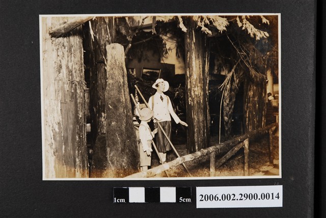 大檜林之一 (共1張)