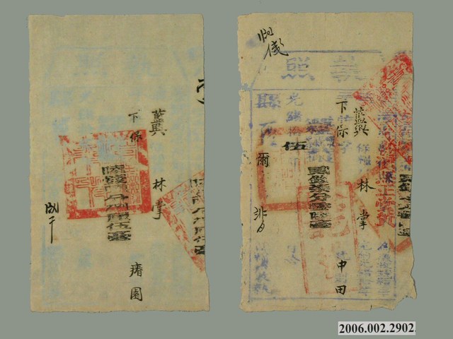 糧戶林掌完納執照一組2張 (共1張)