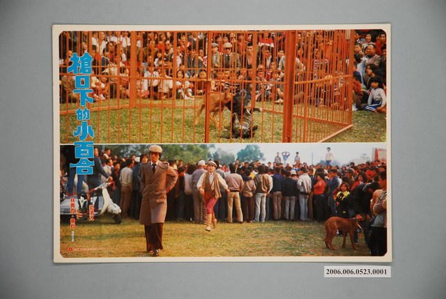 《槍口下的小百合》電影宣傳劇照 (共1張)