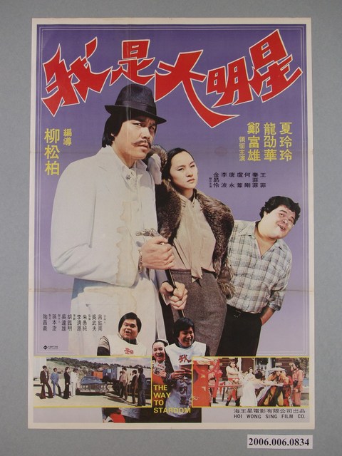 《我是大明星》電影海報 (共1張)