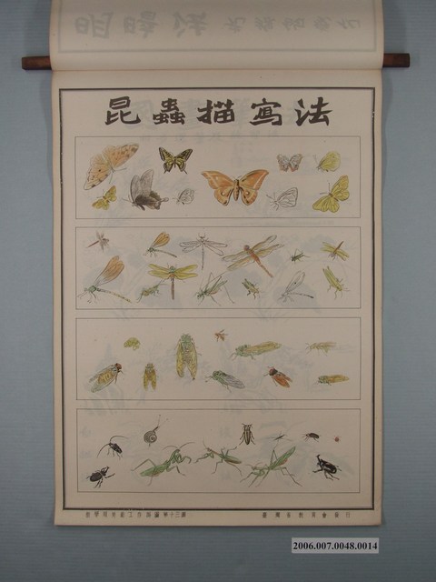臺灣省教育會發行《教學用美術工作掛圖》昆蟲描寫法 (共1張)