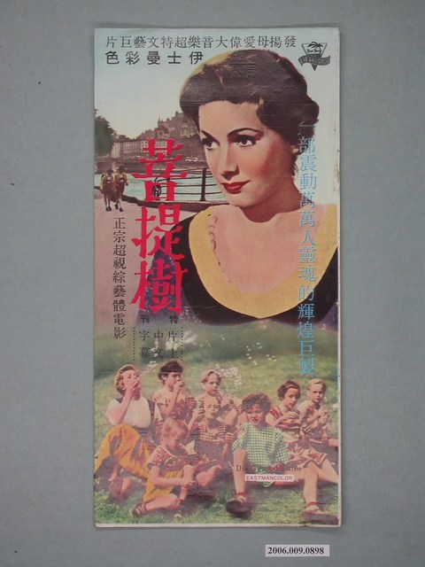 《菩提樹》電影本事 (共18張)