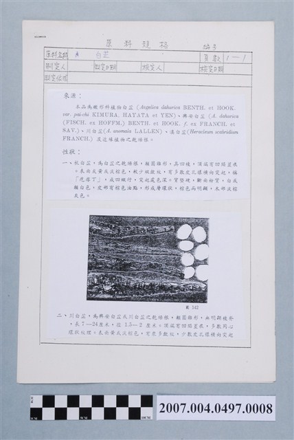 白芷原料規格 (共4張)