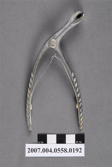 耳鼻喉科鼻鏡 (共4張)