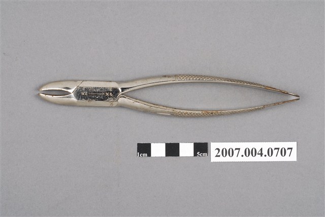 牙科13號拔牙鉗 (共6張)