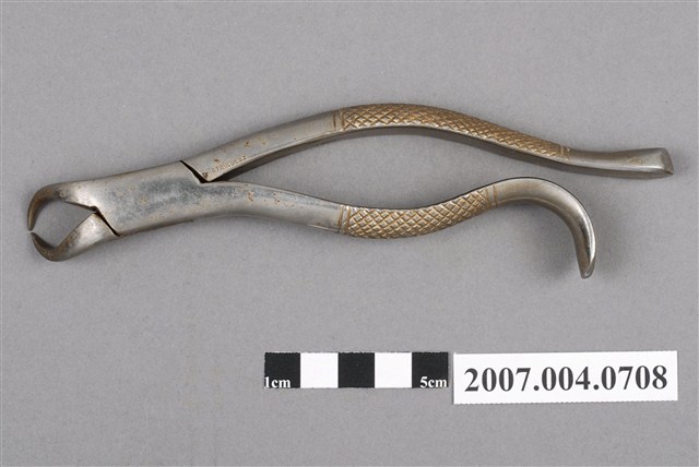 牙科16號拔牙鉗 (共6張)