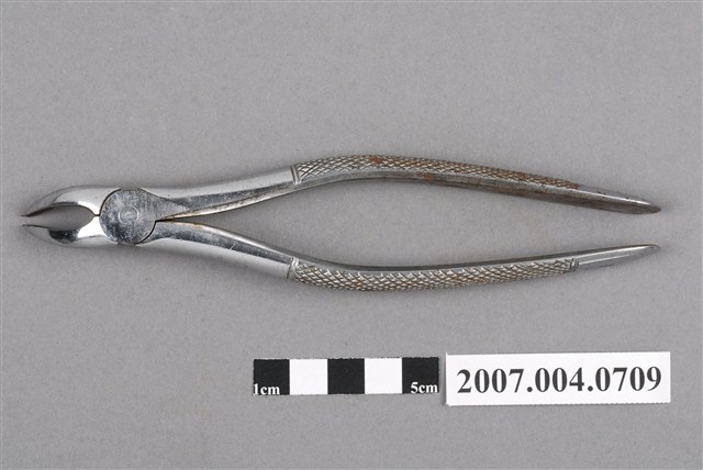 牙科36號拔牙鉗 (共6張)