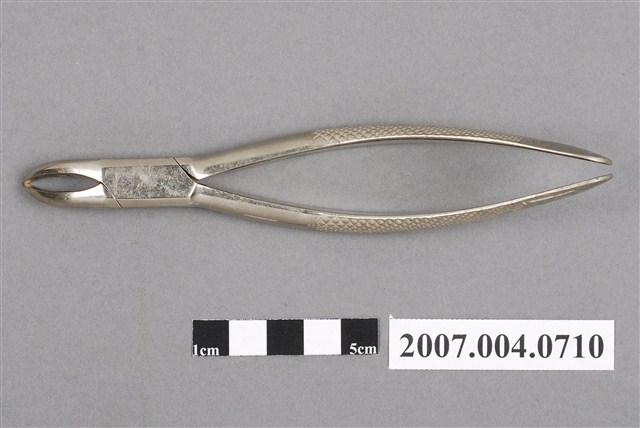 牙科62號拔牙鉗 (共6張)