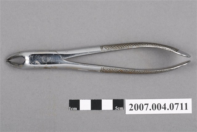 牙科151號拔牙鉗 (共6張)