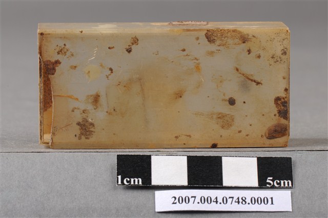 牙科口內研磨拋光組塑膠外盒 (共8張)