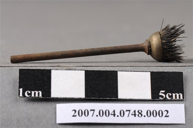 牙科口內研磨拋光組杯棕刷 (共4張)